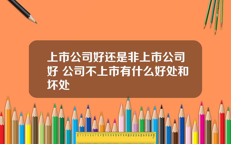 上市公司好还是非上市公司好 公司不上市有什么好处和坏处